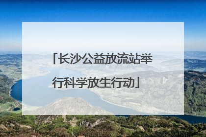 长沙公益放流站举行科学放生行动