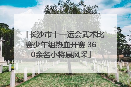 长沙市十一运会武术比赛少年组热血开赛 360余名小将展风采