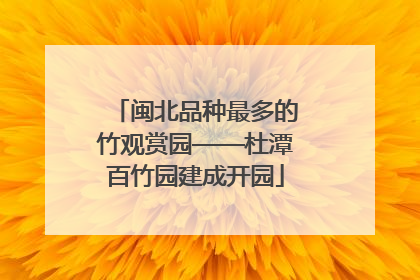 闽北品种最多的竹观赏园——杜潭百竹园建成开园