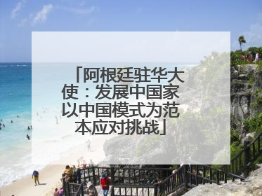 阿根廷驻华大使：发展中国家以中国模式为范本应对挑战