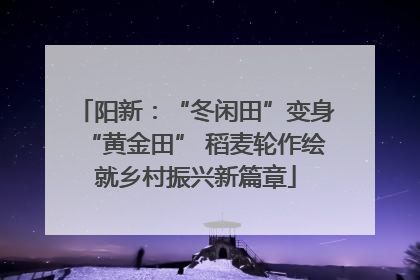 阳新：“冬闲田”变身“黄金田” 稻麦轮作绘就乡村振兴新篇章