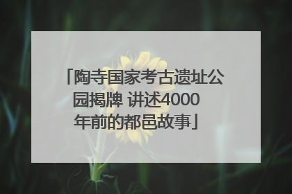 陶寺国家考古遗址公园揭牌 讲述4000年前的都邑故事