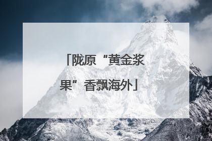 陇原“黄金浆果”香飘海外