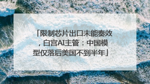 限制芯片出口未能奏效，白宫AI主管：中国模型仅落后美国不到半年