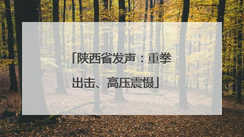 陕西省发声：重拳出击、高压震慑