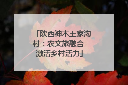 陕西神木王家沟村：农文旅融合 激活乡村活力