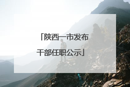 陕西一市发布干部任职公示