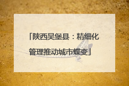 陕西吴堡县：精细化管理推动城市蝶变