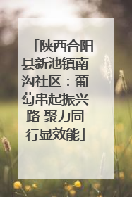 陕西合阳县新池镇南沟社区：葡萄串起振兴路 聚力同行显效能