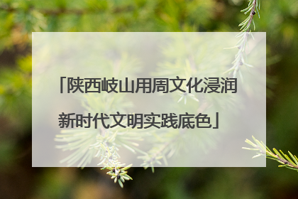 陕西岐山用周文化浸润新时代文明实践底色