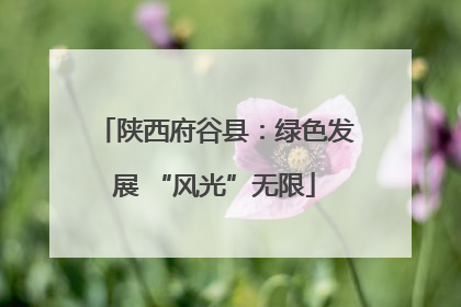 陕西府谷县：绿色发展 “风光”无限