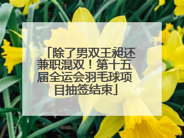 除了男双王昶还兼职混双！第十五届全运会羽毛球项目抽签结束