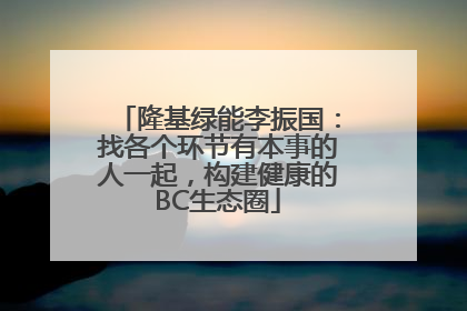 隆基绿能李振国：找各个环节有本事的人一起，构建健康的BC生态圈