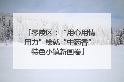 零陵区：“用心用情用力”绘就“中药香”特色小镇新画卷