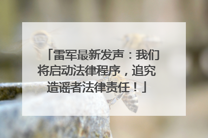 雷军最新发声：我们将启动法律程序，追究造谣者法律责任！