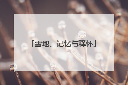 雪地、记忆与释怀