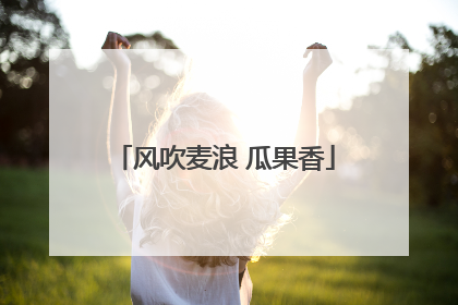 风吹麦浪 瓜果香