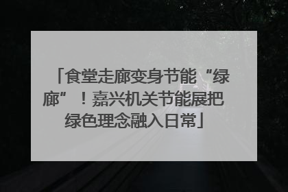 食堂走廊变身节能“绿廊”！嘉兴机关节能展把绿色理念融入日常