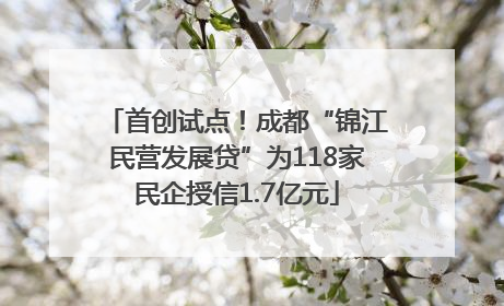 首创试点！成都“锦江民营发展贷”为118家民企授信1.7亿元