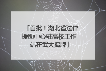 首批！湖北省法律援助中心驻高校工作站在武大揭牌