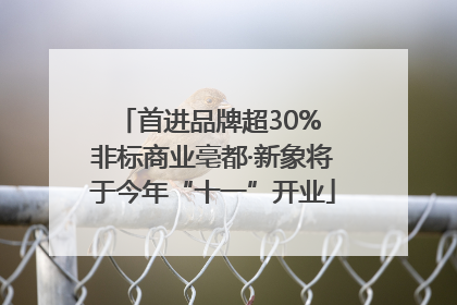 首进品牌超30% 非标商业亳都·新象将于今年“十一”开业