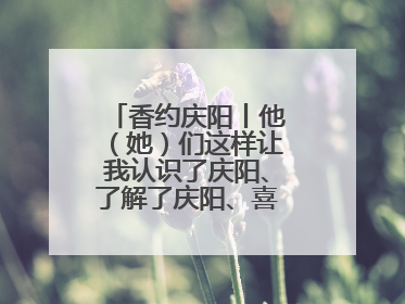 香约庆阳丨他（她）们这样让我认识了庆阳、了解了庆阳、喜欢上了庆阳