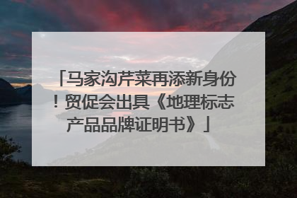 马家沟芹菜再添新身份！贸促会出具《地理标志产品品牌证明书》