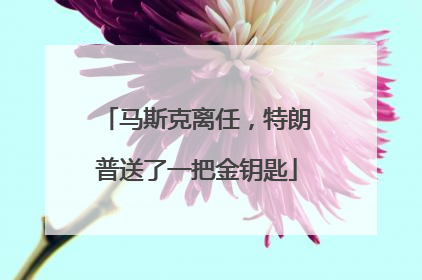 马斯克离任，特朗普送了一把金钥匙