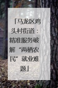 马龙区鸡头村街道：精准服务破解“两栖农民”就业难题