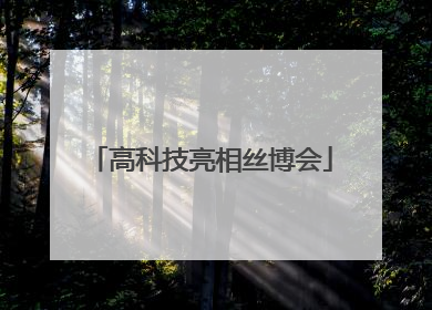 高科技亮相丝博会