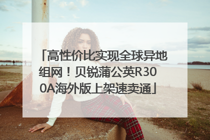 高性价比实现全球异地组网！贝锐蒲公英R300A海外版上架速卖通