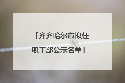 齐齐哈尔市拟任职干部公示名单
