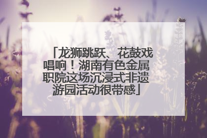龙狮跳跃、花鼓戏唱响！湖南有色金属职院这场沉浸式非遗游园活动很带感