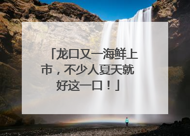 龙口又一海鲜上市，不少人夏天就好这一口！
