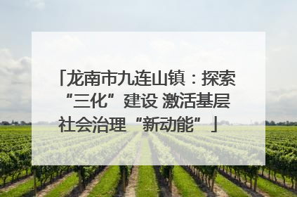 龙南市九连山镇：探索“三化”建设 激活基层社会治理“新动能”