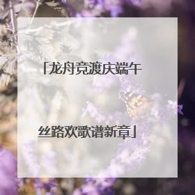 龙舟竞渡庆端午 丝路欢歌谱新章