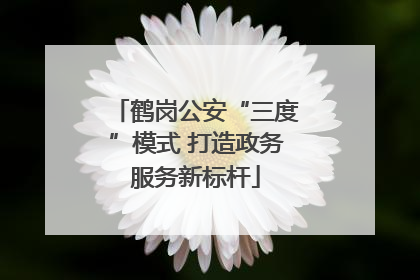 鹤岗公安“三度”模式 打造政务服务新标杆