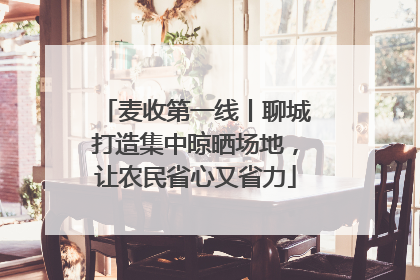 麦收第一线丨聊城打造集中晾晒场地，让农民省心又省力