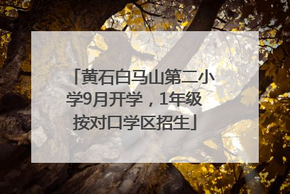 黄石白马山第二小学9月开学，1年级按对口学区招生
