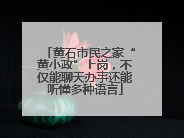 黄石市民之家“黄小政”上岗，不仅能聊天办事还能听懂多种语言