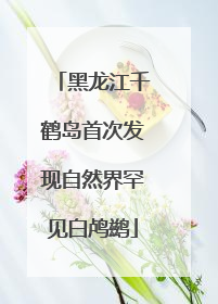 黑龙江千鹤岛首次发现自然界罕见白鸬鹚