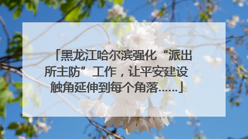 黑龙江哈尔滨强化“派出所主防”工作，让平安建设触角延伸到每个角落……