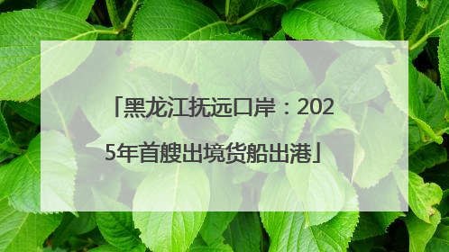 黑龙江抚远口岸：2025年首艘出境货船出港