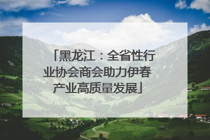 黑龙江：全省性行业协会商会助力伊春产业高质量发展
