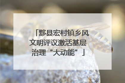 黟县宏村镇乡风文明评议激活基层治理“大动能”