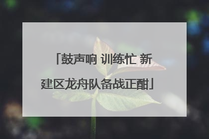 鼓声响 训练忙 新建区龙舟队备战正酣