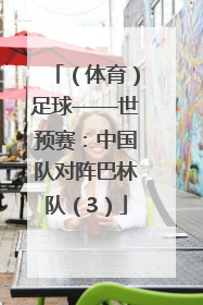 （体育）足球——世预赛：中国队对阵巴林队（3）
