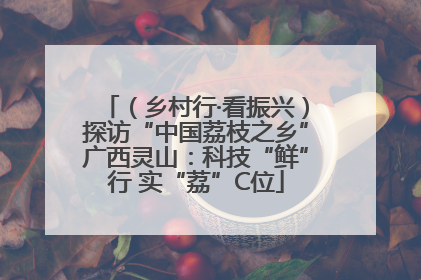（乡村行·看振兴）探访“中国荔枝之乡”广西灵山：科技“鲜”行 实“荔”C位