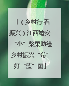 （乡村行·看振兴）江西靖安“小”浆果助绘乡村振兴“莓”好“蓝”图