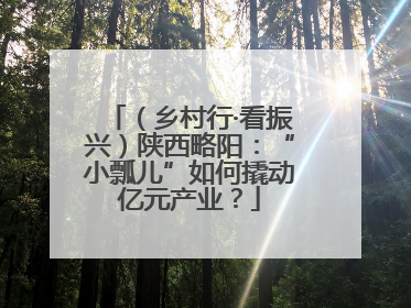 （乡村行·看振兴）陕西略阳：“小瓢儿”如何撬动亿元产业？